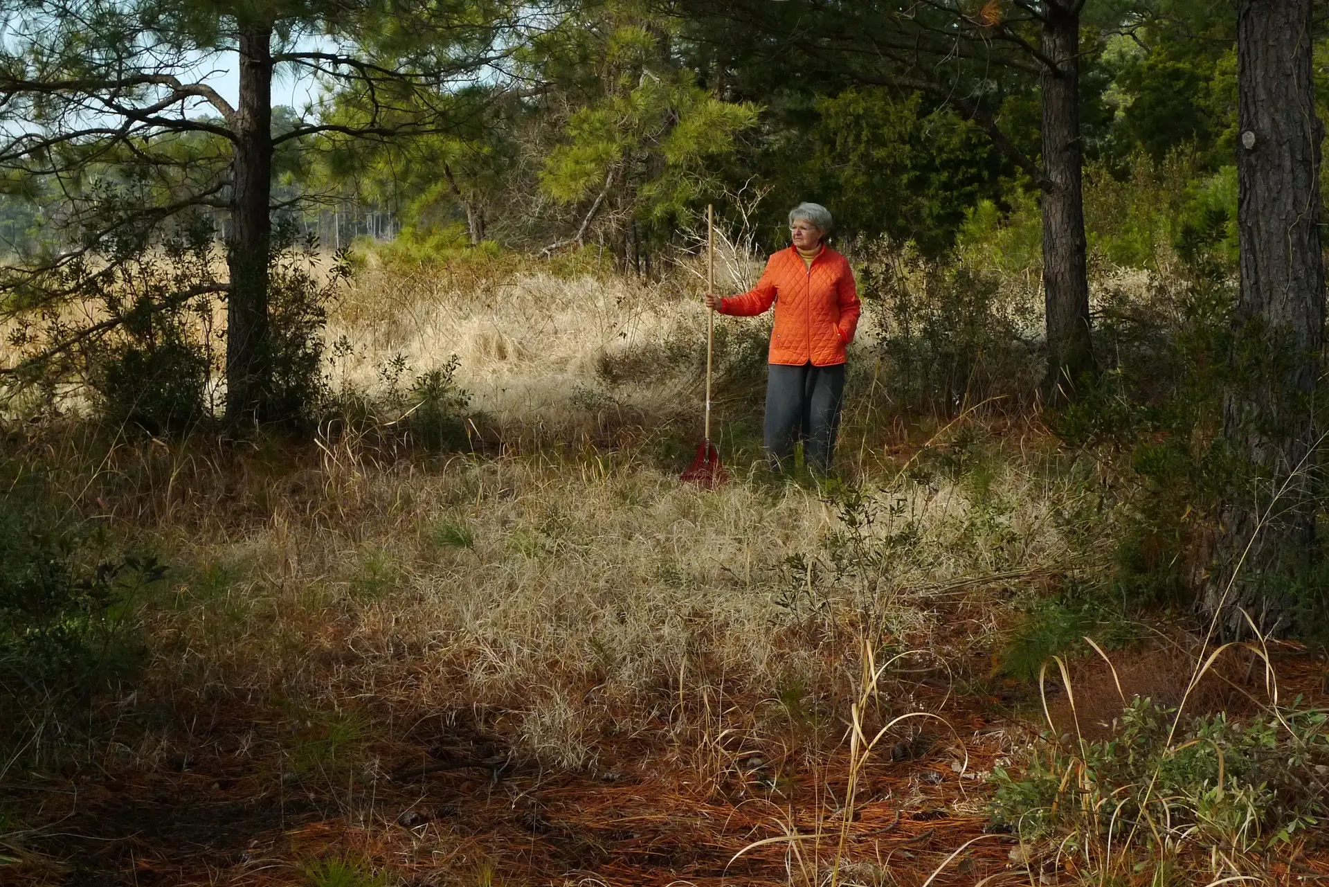 Amelia Wright (landowner, DE)