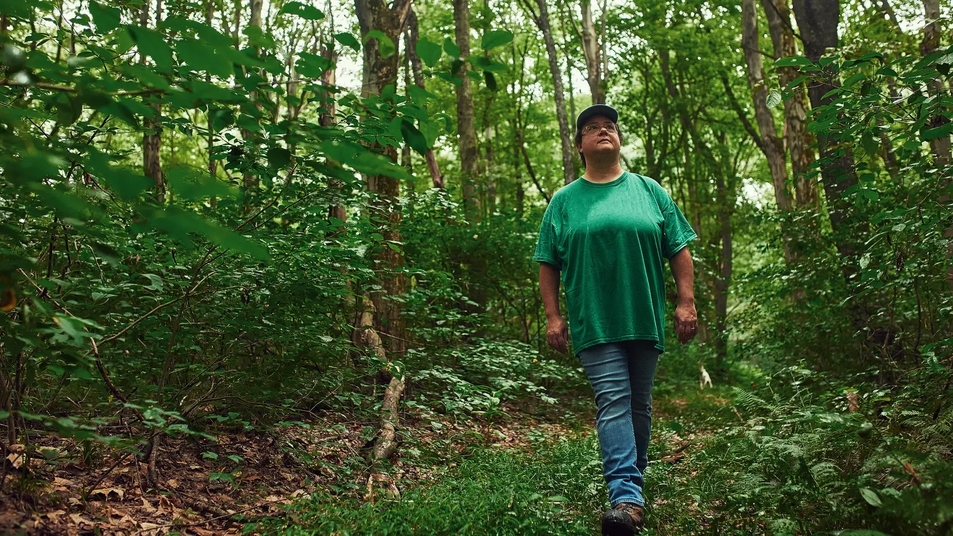 Resilience & Recovery: The Role of Family Forests When Disaster Strikes