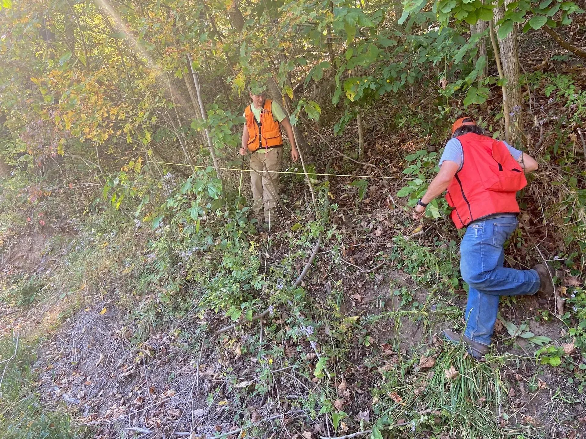 American Forest Foundation forester taking measurement