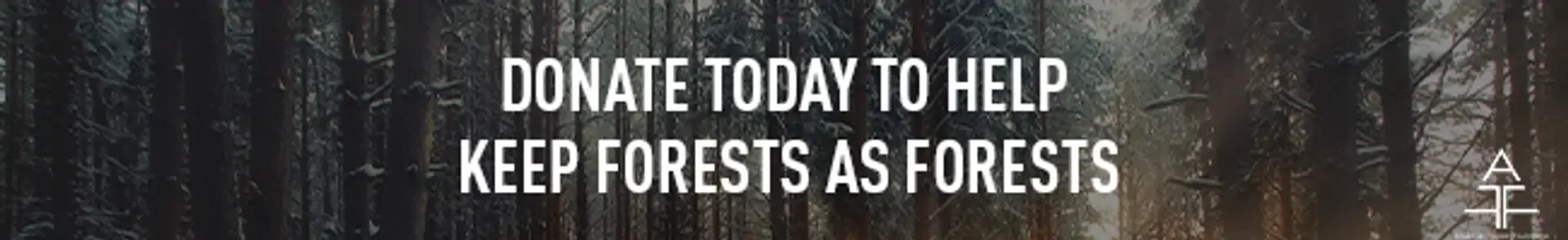 Banner Image-2019 EOY-Donation