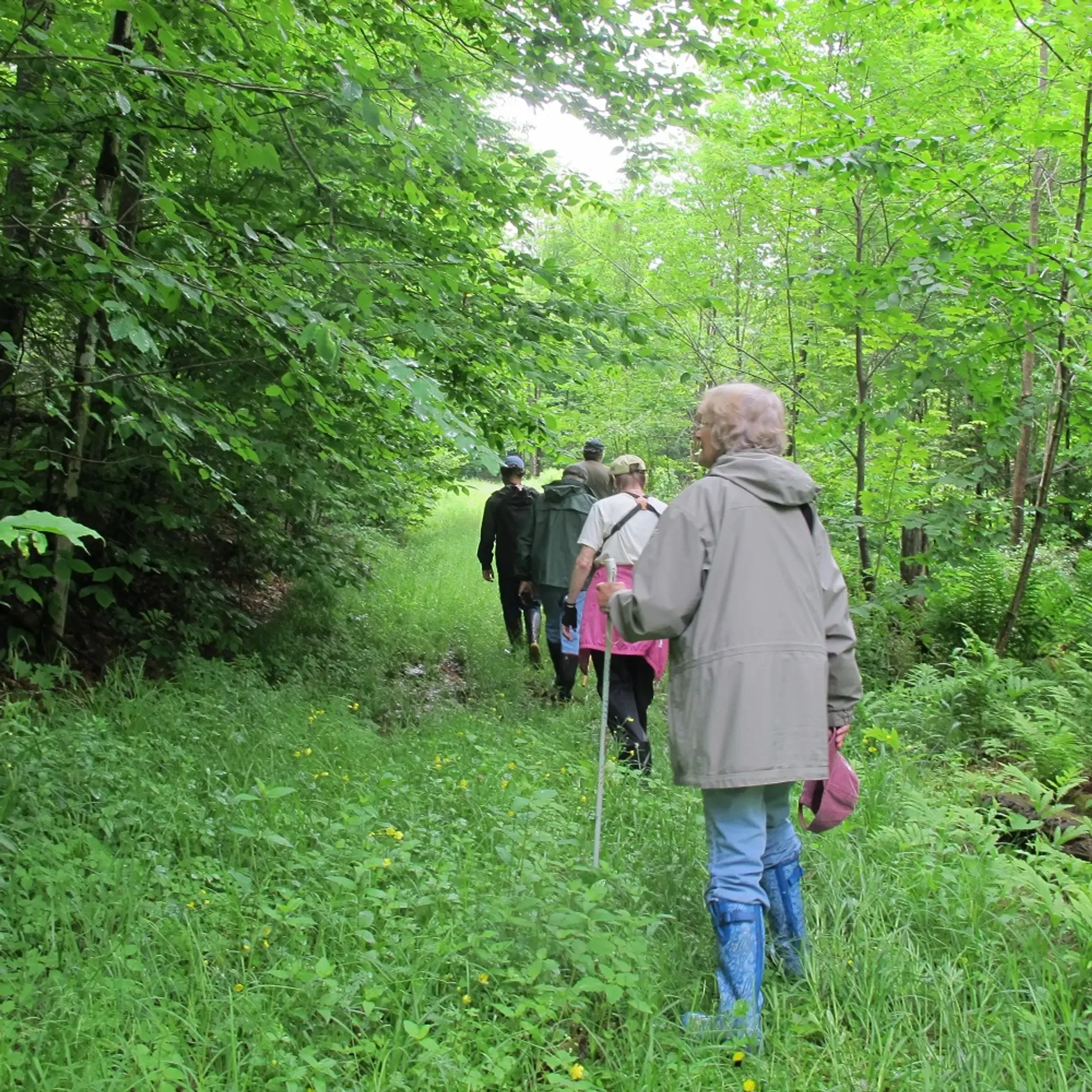Parkers VT mad birders small
